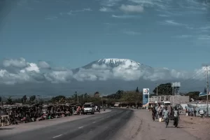 kilimanjaro