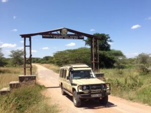 safari to Avfrica Ombeni 2014 812
