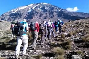 Lemosho Kilimanjaro