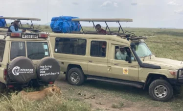 5 Day Tanzania Safari Add On