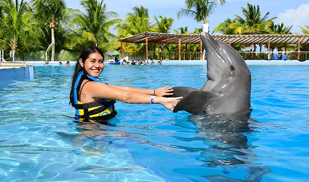 ACTIVIES 31 Dolphin Adventure