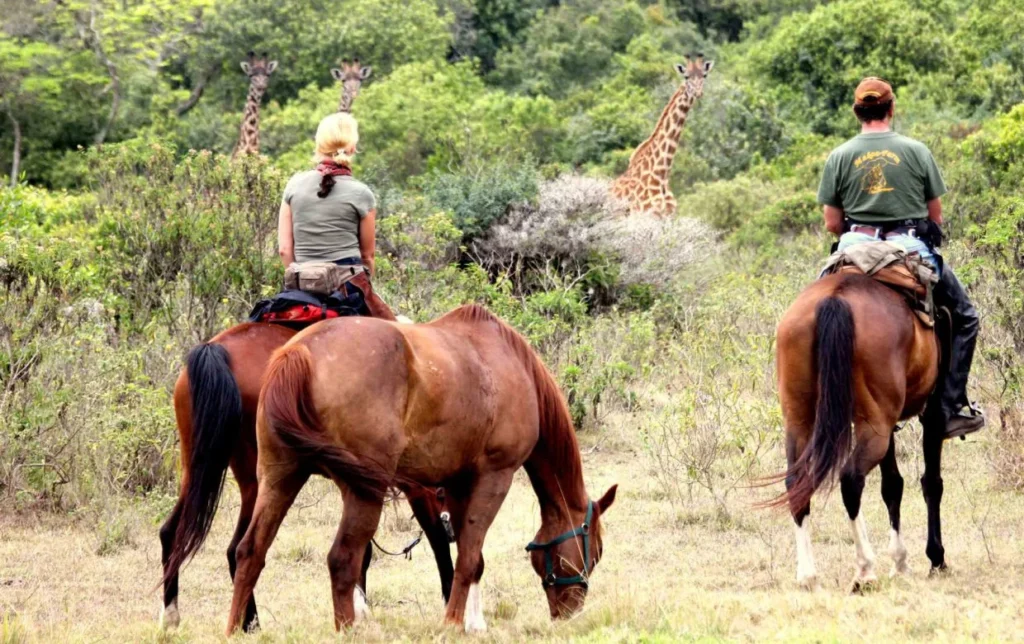 ACTIVIES 37 Horseback Riding in Arusha