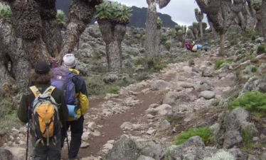 Kilimanjaro Shira lemosho shira route adventure