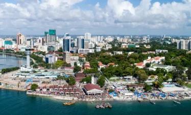 Mikumi Ruaha Safari Adventure 2