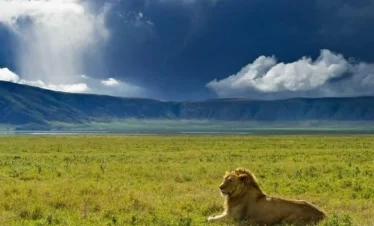 Ngorongoro Conservation Area A12