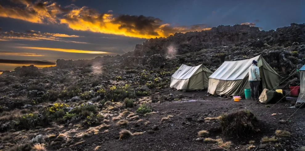 Northern Circuit Route – Kilimanjaro Adventure