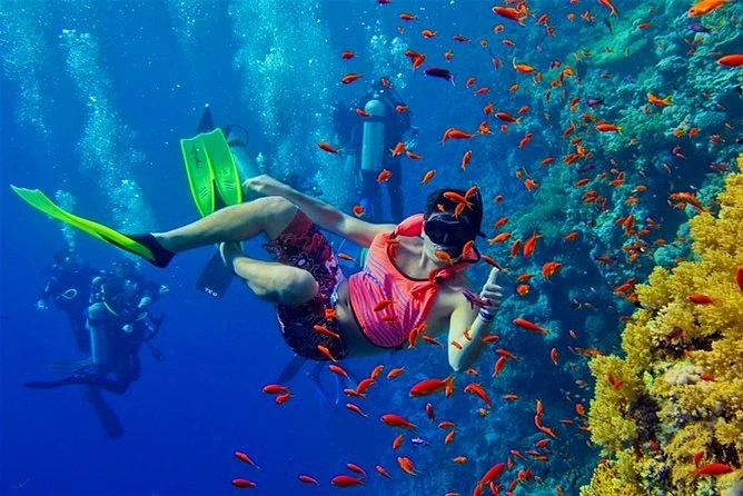 ACTIVIES 9 Snorkeling near Mnemba Island