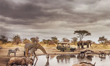 Tanzania Safari Add On Two Northern Parks 2