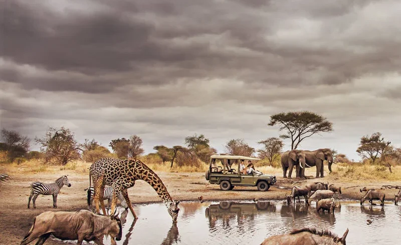 Tanzania Safari Add On Two Northern Parks 2