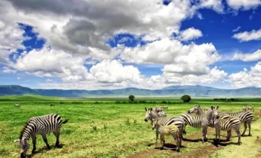 Tanzania Safari Add On Two Northern Parks