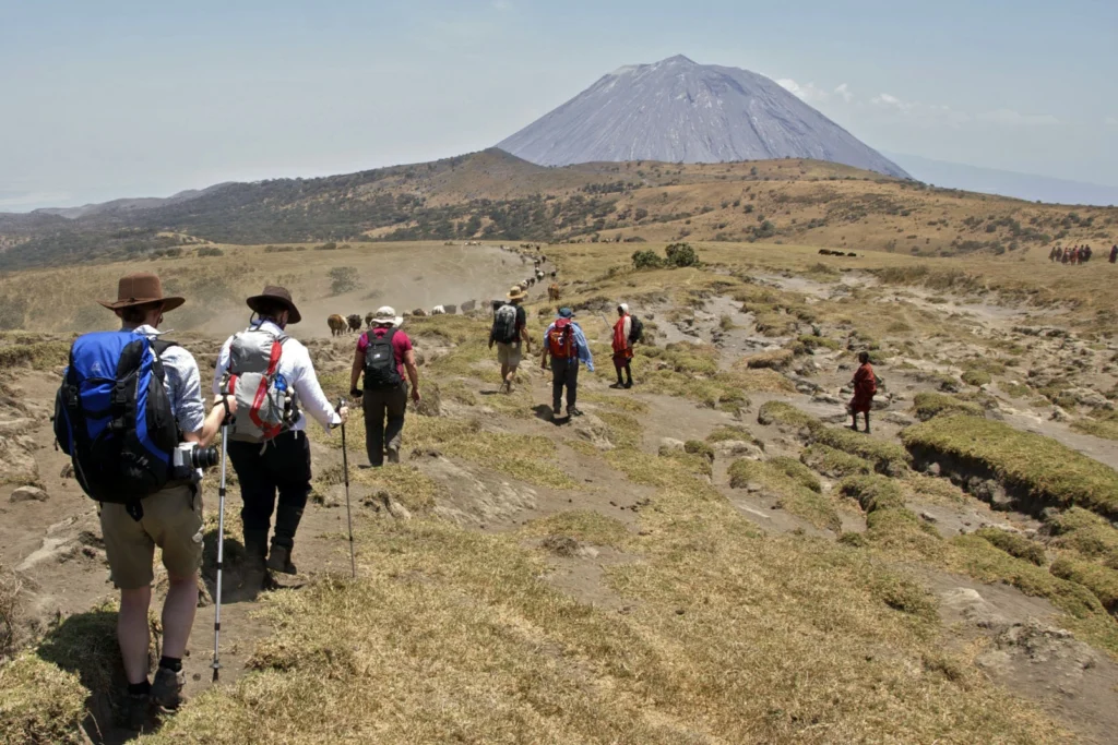 Why Tanzania Should Be Your Next African Safari Destination 2 safari tour