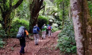 climb Kilimanjaro via lemosho route