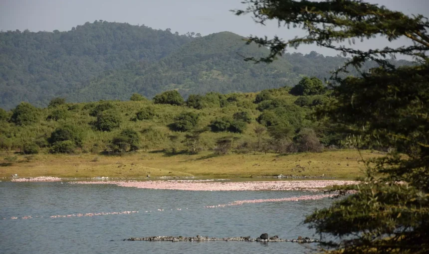 Tarangire National Park