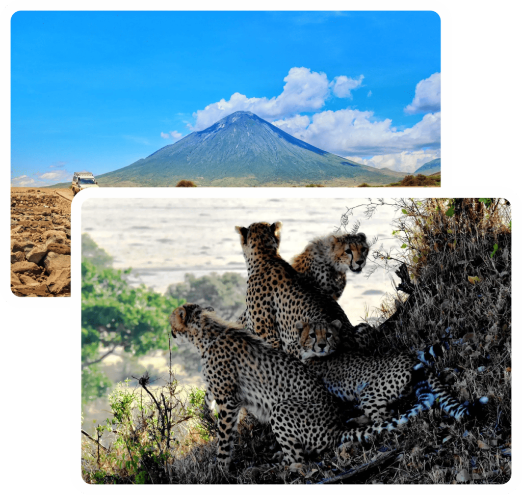 kiwareafricasafaris 2