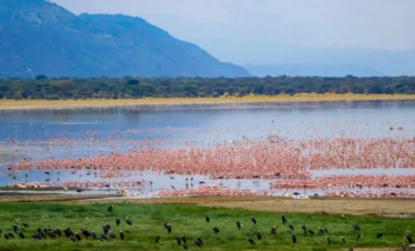 lake manyara