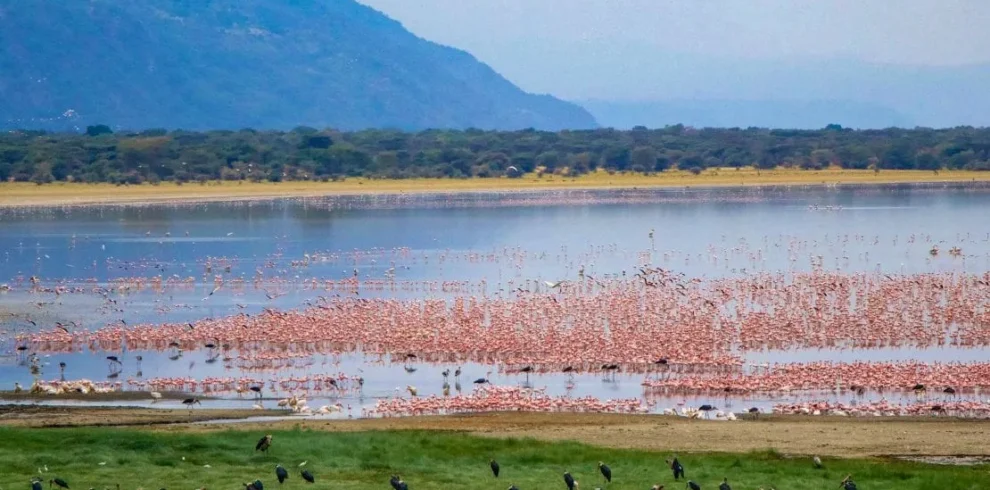 lake manyara 1 1110x700 11zon
