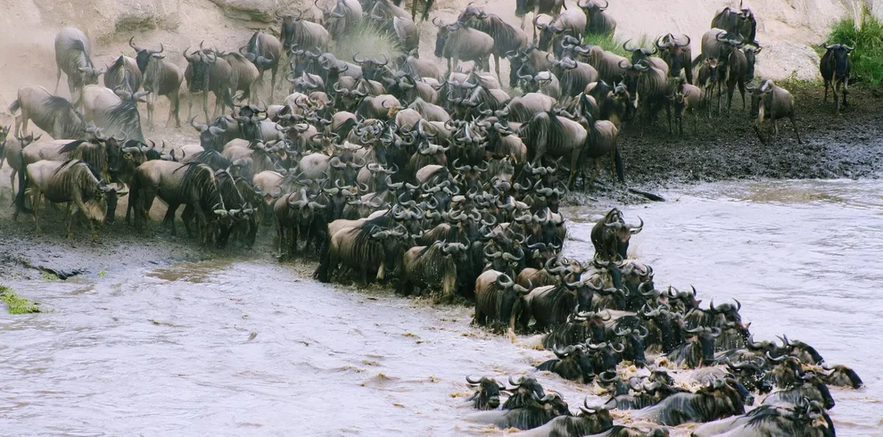 lake manyara safari camp