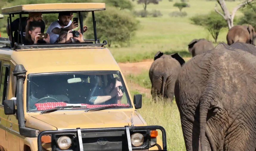 Tarangire National Park And Maasai Boma Safari