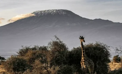 marangu route tour 1