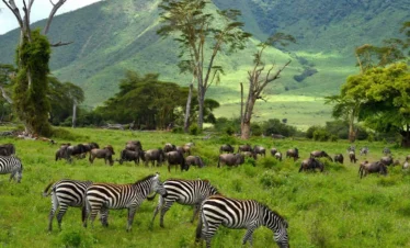 Ngongoro CRATER1
