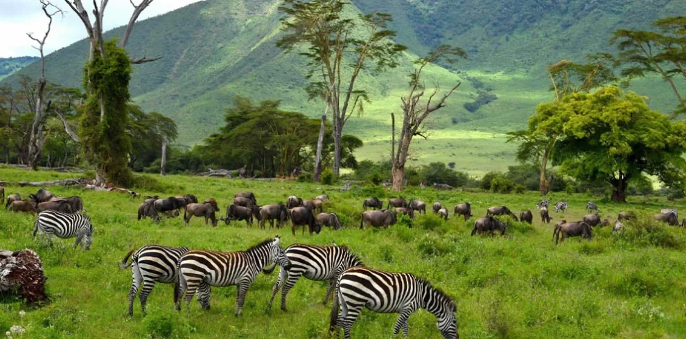 ngongoro cRATER1