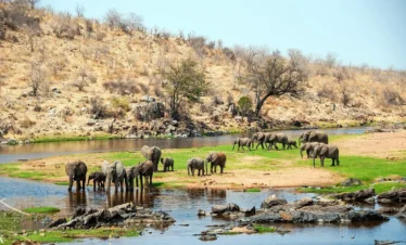ruaha national park