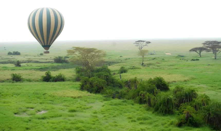 Get Ready For Adventure With Our Serengeti Safari Packages